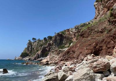 Viber Image 2025 06 07 15 33 56 122