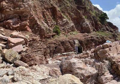 Viber Image 2025 06 07 15 33 56 392