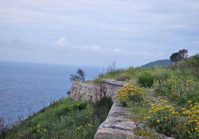 Viber Image 2025 06 07 15 33 56 935