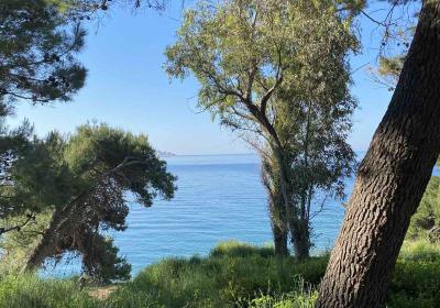 Viber Image 2025 06 07 15 33 57 478