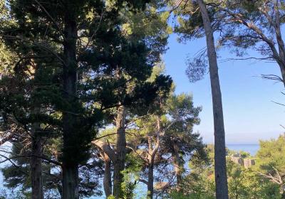 Viber Image 2025 06 07 15 33 57 751