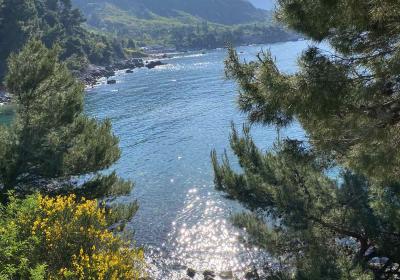 Viber Image 2025 06 07 15 33 58 346