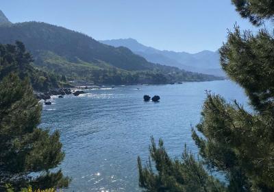 Viber Image 2025 06 07 15 33 58 891