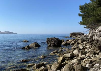 Viber Image 2025 06 07 15 33 59 165