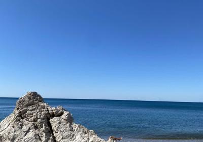 Viber Image 2025 06 07 15 34 00 527