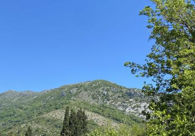 Viber Image 2025 06 07 15 34 01 097